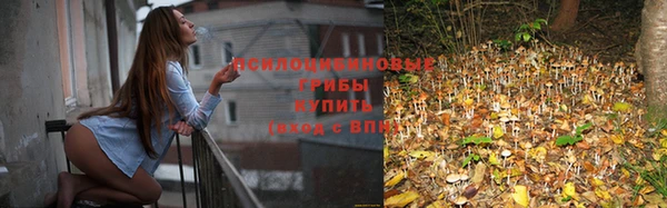 дживик Беломорск