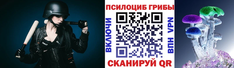 магазин продажи наркотиков  Туран  Галлюциногенные грибы Psilocybine cubensis 